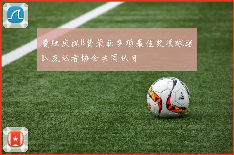 曼联庆祝B费荣获多项最佳奖项球迷队友记者协会共同认可