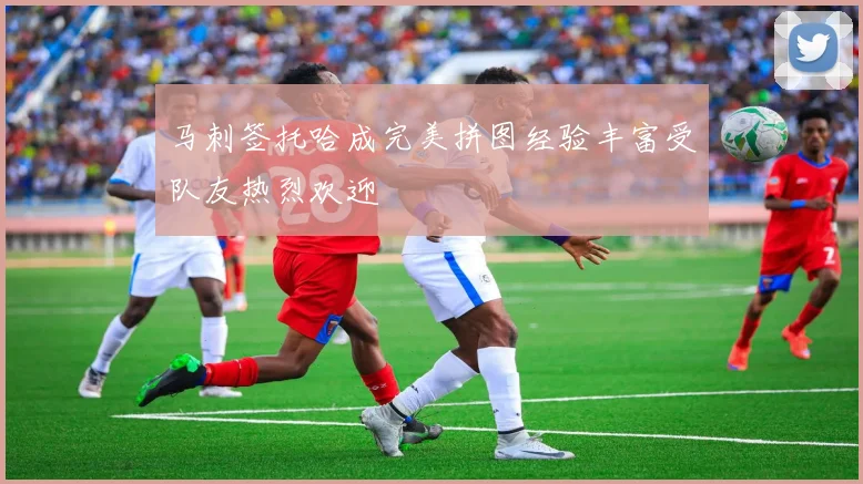 马刺签托哈成完美拼图经验丰富受队友热烈欢迎